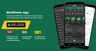 In-Depth BetWinner Player Reviews Insights and Experiences