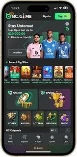 Understanding the Terms & Conditions of BC Game -1160287589