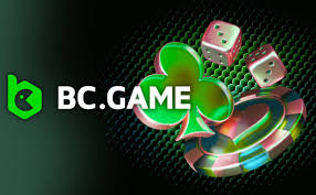 Understanding the Terms & Conditions of BC Game -1160287589