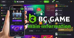 Unlocking the World of Gaming with the BC.Game Mirror App